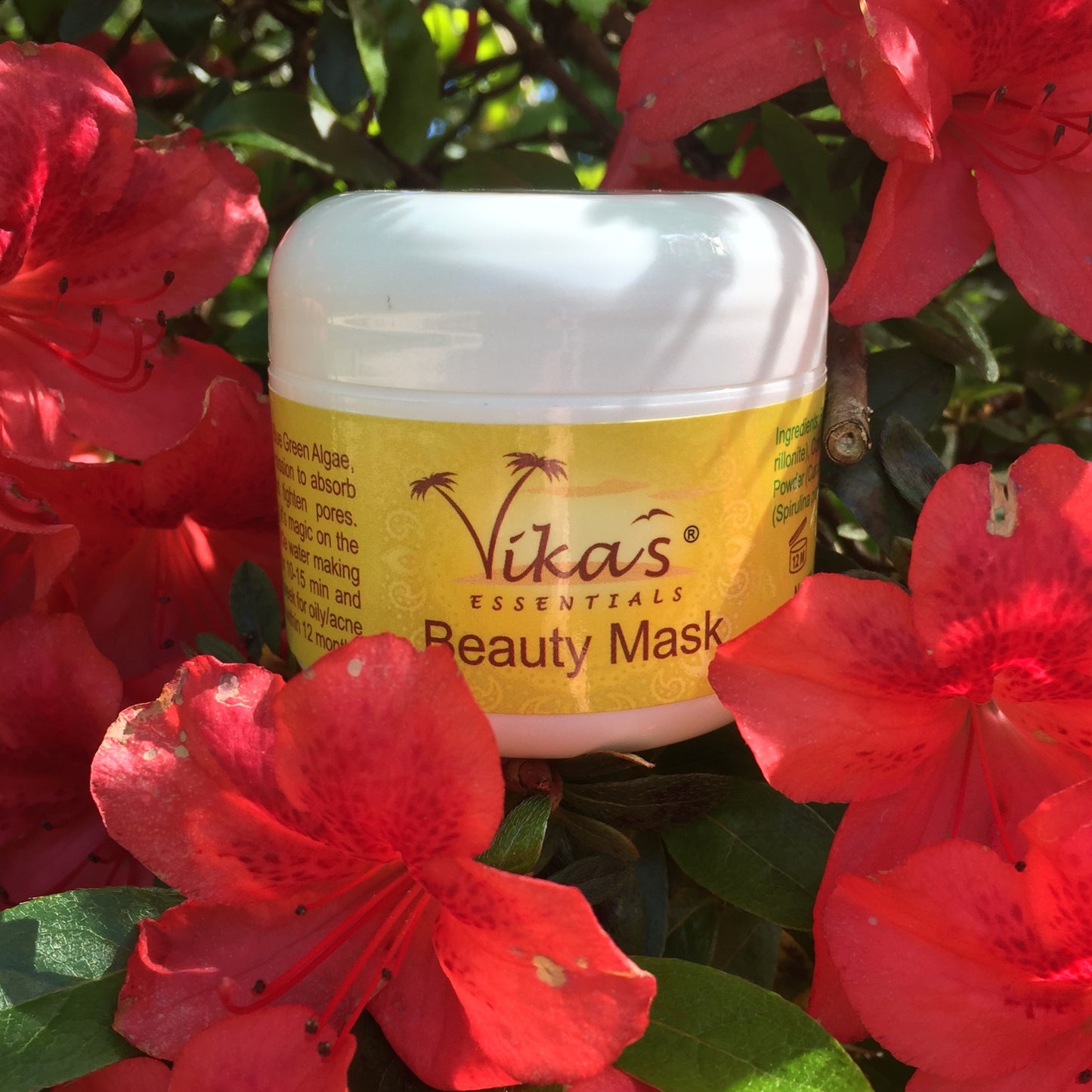 Beauty Mask
