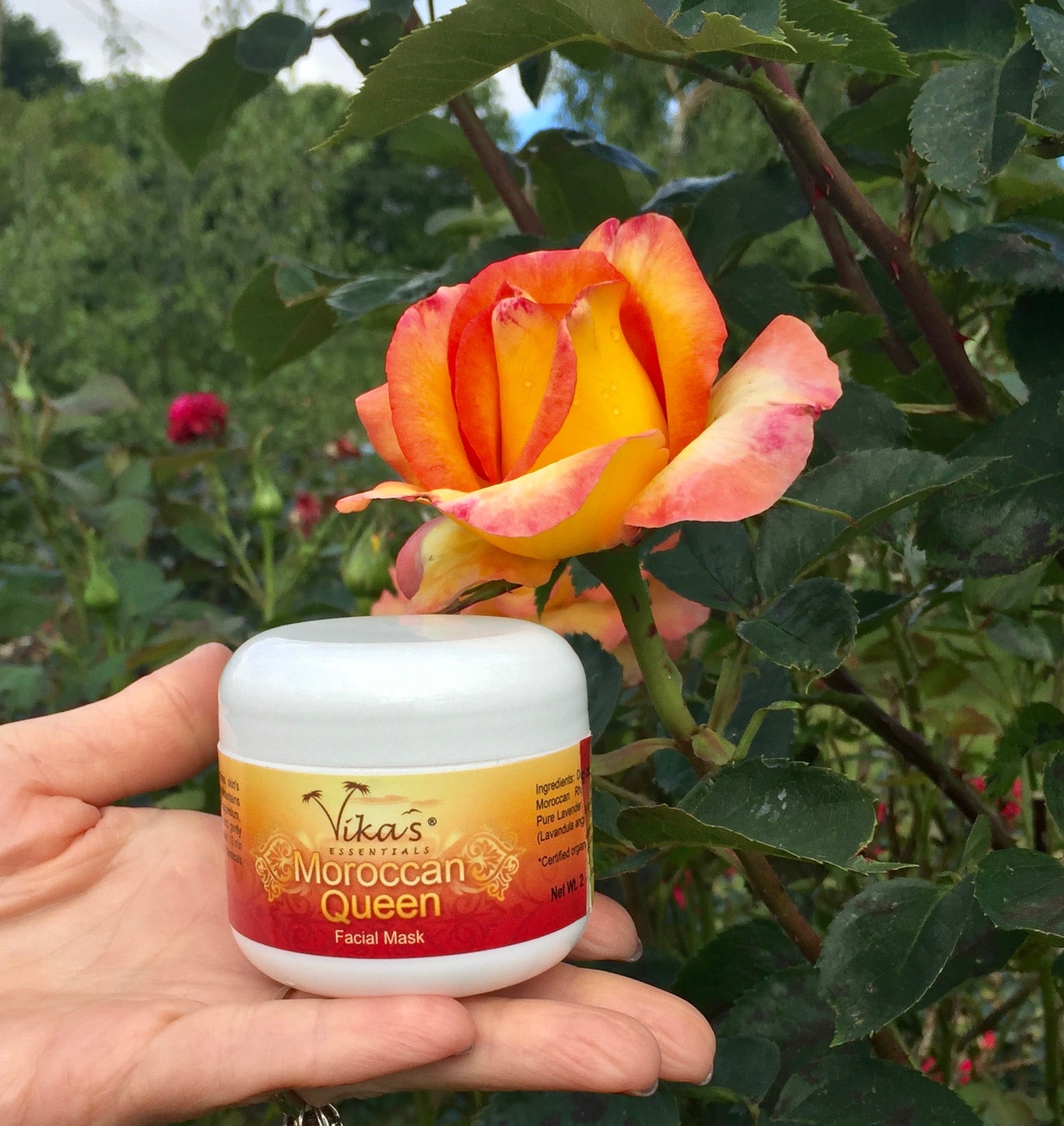 Facial Clay Mask 'Moroccan Queen' – Vika's Essentials